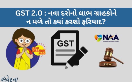 GST 2.0 : નવા દરોનો લાભ ગ્રાહકોને ન મળે તો ક્યાં કરશો ફરિયાદ?