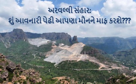 કાયદાની કલમે પહાડો મરી ગયા : અરવલ્લીનો કાયદાકીય સંહાર