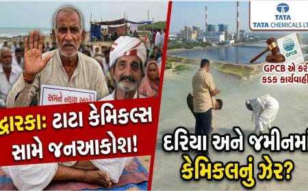 દરિયામાં કેમિકલ? ટાટા કેમિકલ્સ સામે GPCB ની લાલ આંખ