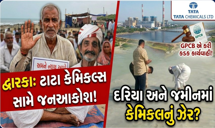 દરિયામાં કેમિકલ? ટાટા કેમિકલ્સ સામે GPCB ની લાલ આંખ