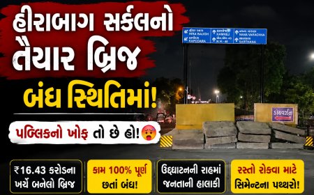 પબ્લિકનો ખોફ: હીરાબાગ બ્રિજ પર તંત્રએ રાતોરાત કેમ ખડક્યા પથ્થરો?