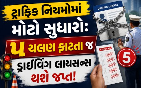 ટ્રાફિક નિયમોમાં મોટો સુધારો: ૫ ચલણ ફાટતા જ ડ્રાઈવિંગ લાયસન્સ થશે જપ્ત!